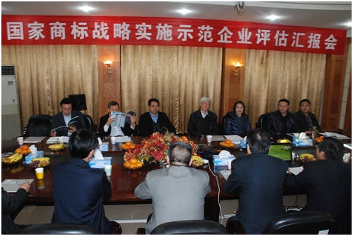 國家商標(biāo)戰(zhàn)略實施示范工作督導(dǎo)組到仁和集團檢查指導(dǎo)工作