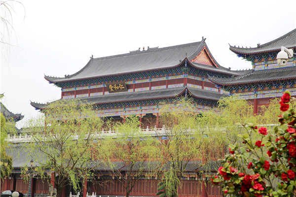 春光如畫 醉美仁和